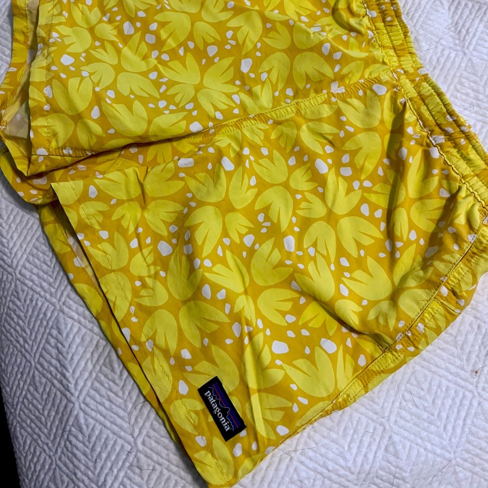 Patagonia Shorts